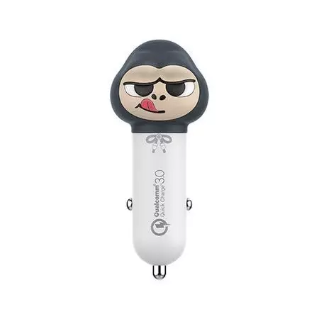 لا توجد صورة