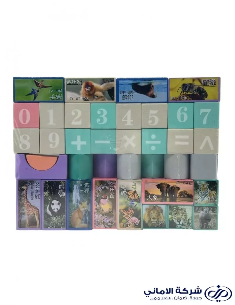 لا توجد صورة