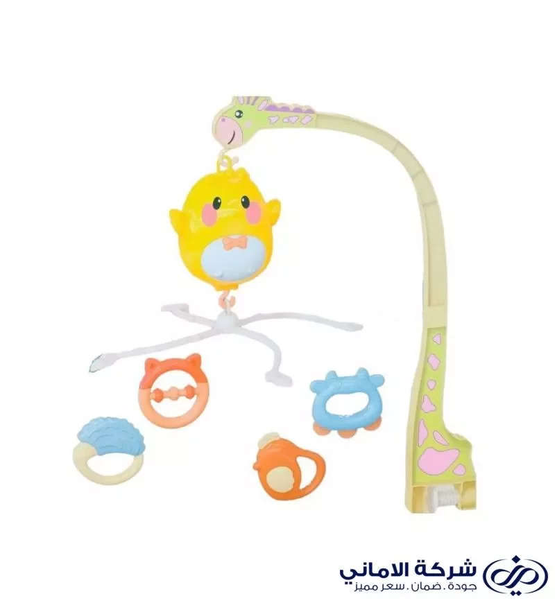 لا توجد صورة